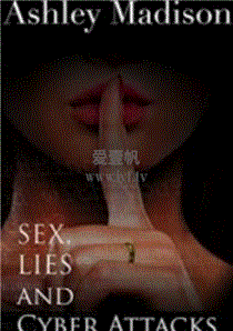 性、谎言和网络攻击