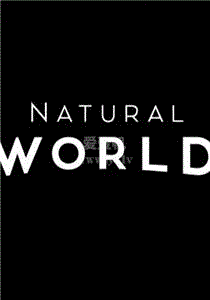 自然世界