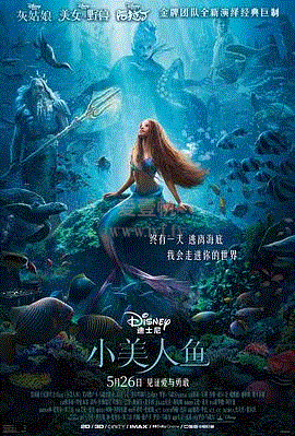 小美人鱼