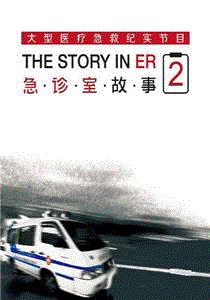 急诊室故事第2季
