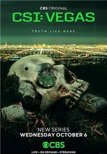 犯罪现场调查：维加斯