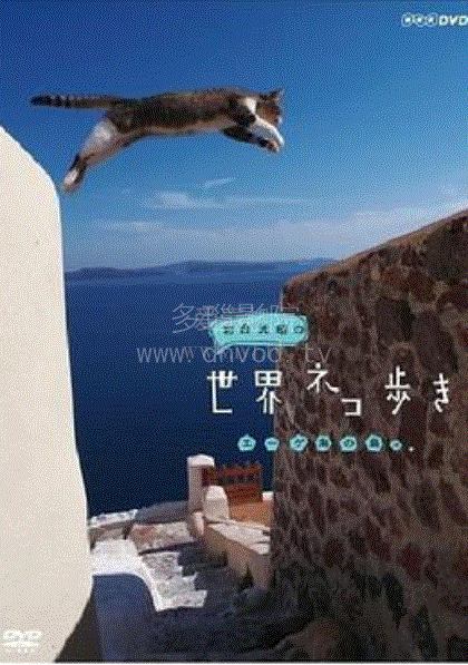岩合光昭的猫步走世界