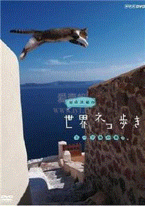 岩合光昭的猫步走世界