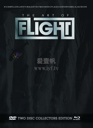 飞翔的艺术