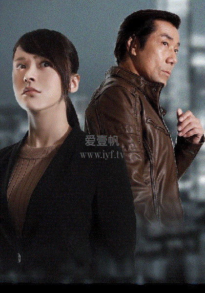 黑蔷薇：刑事课强行犯系神木恭子