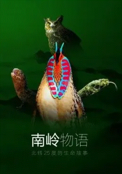 南岭物语