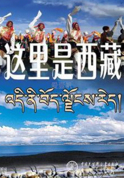 这里是西藏