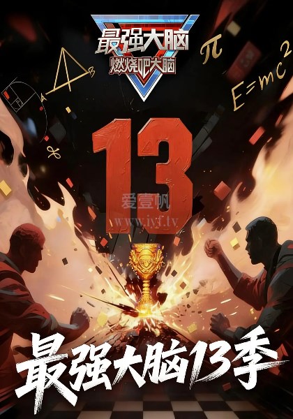最强大脑第13季