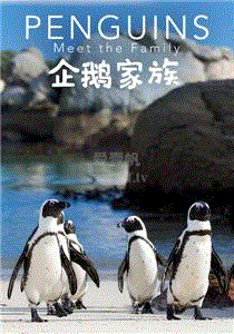 企鹅家族