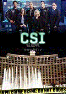 犯罪现场调查第2季