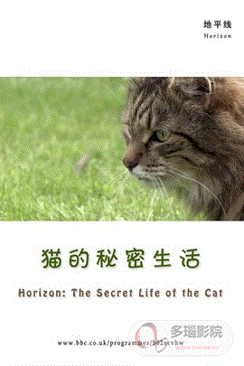 猫咪的秘密生活