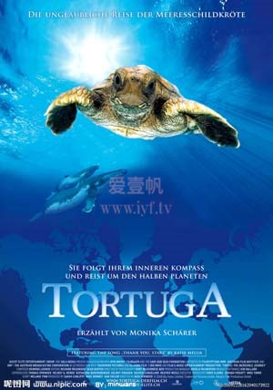 海龟：奇妙之旅