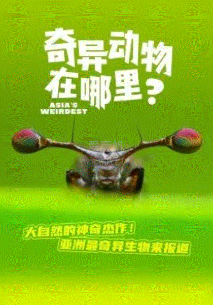 奇异动物在哪里？