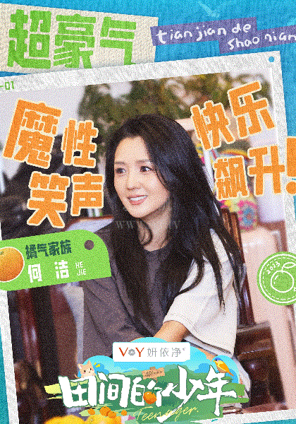 田间的少年