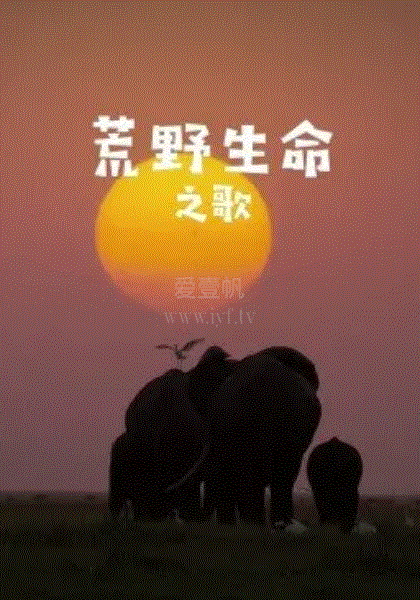 荒野生命之歌