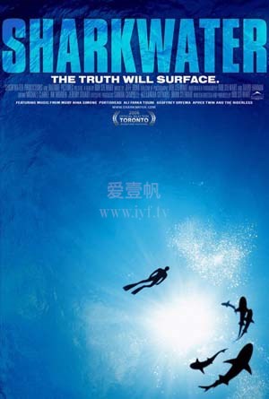 鲨鱼海洋