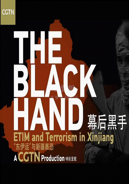 幕后黑手—“东伊运”与新疆暴恐