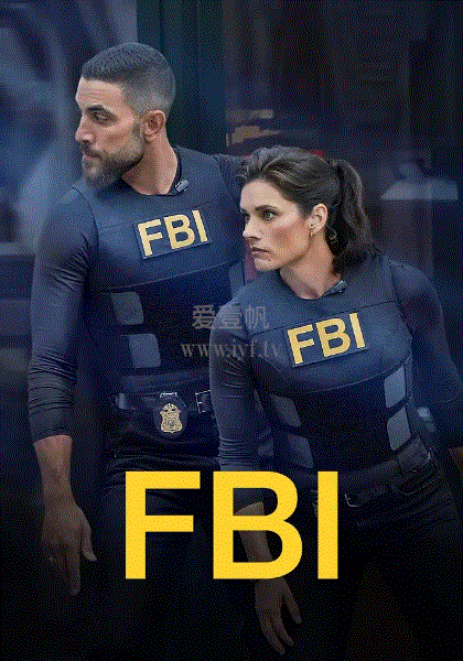 联邦调查局第8季