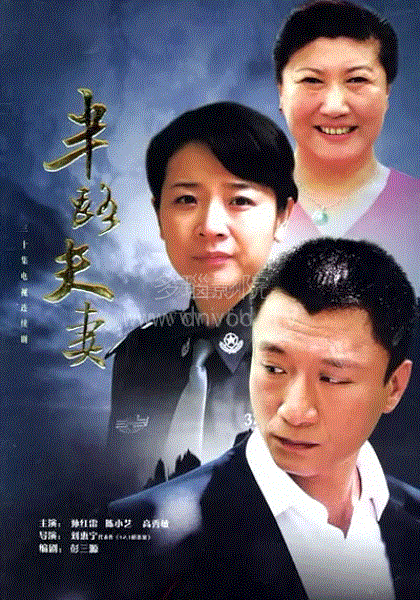 半路夫妻