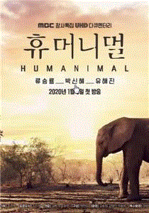 人类-动物
