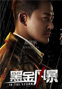 黑金风暴(粤)