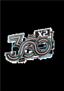 300 X2