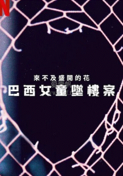 来不及盛开的花：巴西女童坠楼案