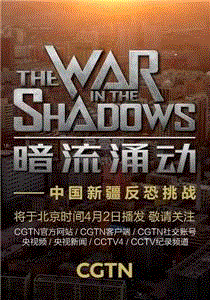 暗流涌动—中国新疆反恐挑战