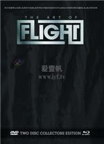 飞翔的艺术