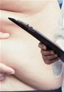 我们为什么肥胖