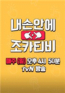 掌中侄子侄女TV