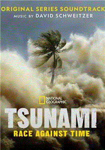 海啸：与时间赛跑