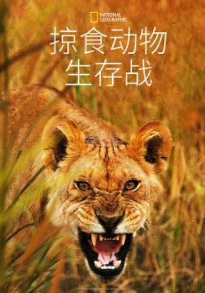 掠食动物生存战第1季