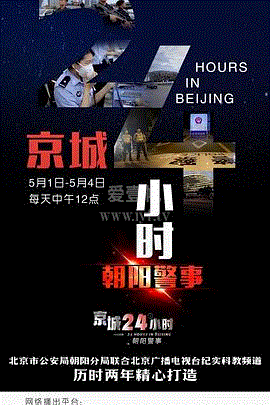 京城24小时之朝阳警事