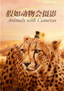 假如动物会摄影(英文)