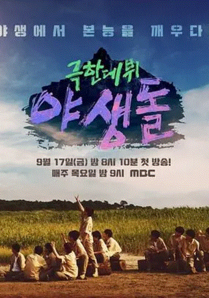 极限出道野生偶像