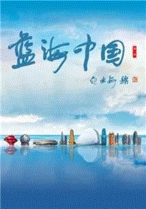 蓝海中国