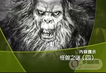 大''''真探'''' 怪兽之谜