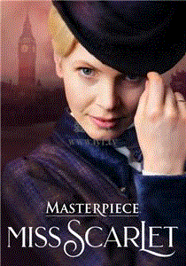 斯嘉丽小姐探案集第5季