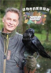 动物界的爱因斯坦第1季