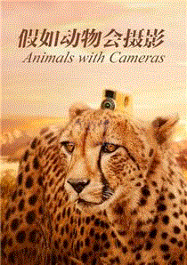 假如动物会摄影