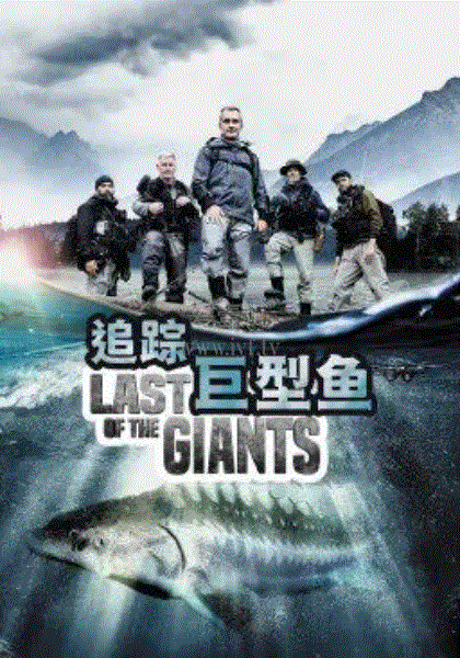 追踪巨型鱼