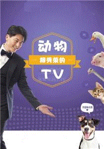 柳秀荣的动物TV