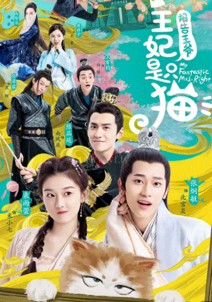 报告王爷，王妃是只猫