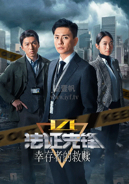 法证先锋6(国)
