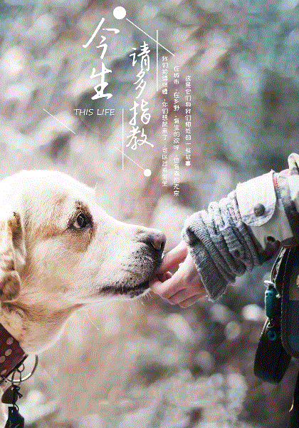 今生，请多指教