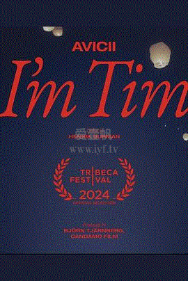 电音奇才艾维奇：蒂姆原色