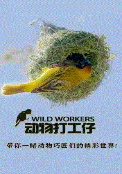 动物打工仔(英语)