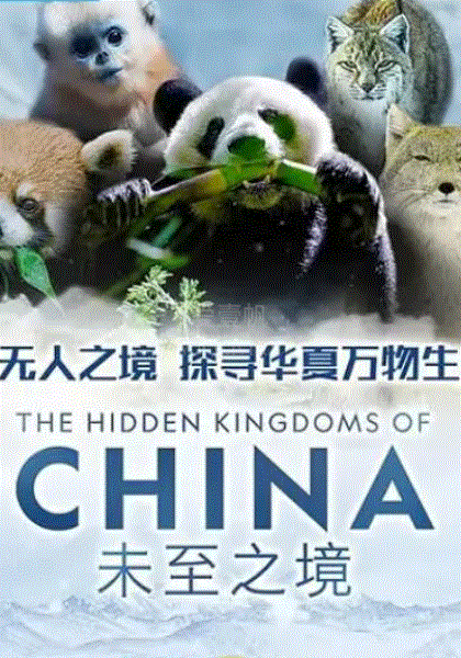 未至之境