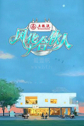 风华合伙人
